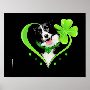 Poster Bordure Collie Coeur Shamrock