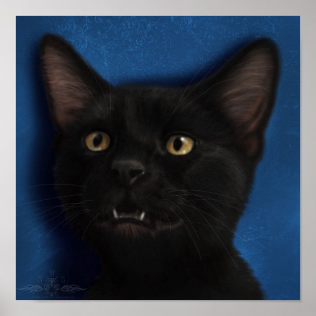 Poster Boris (Devant)