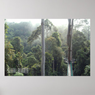 Poster Borneo forêt tropicale jungle Treetops Walkway Sab