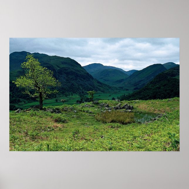Poster Borrowdale de High Doat, Cumbria à la Cornish (Devant)