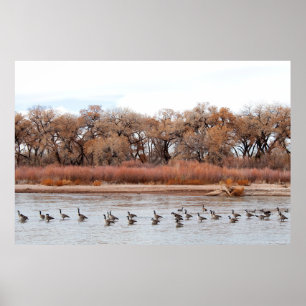 POSTER "BOSQUE PARADE"
