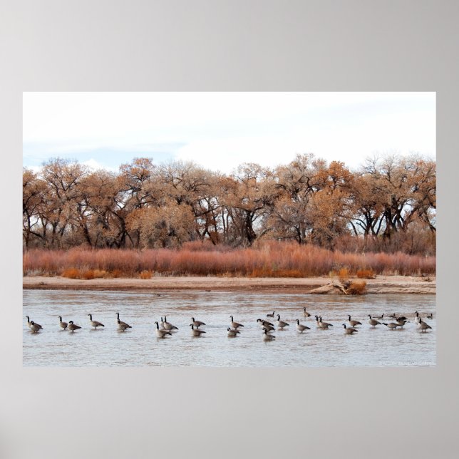 POSTER "BOSQUE PARADE" (Devant)