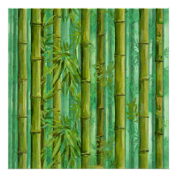 Bosquet de bambou jungle Verts chauds et frais