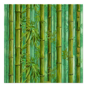 Poster Bosquet de bambou jungle Verts chauds et frais