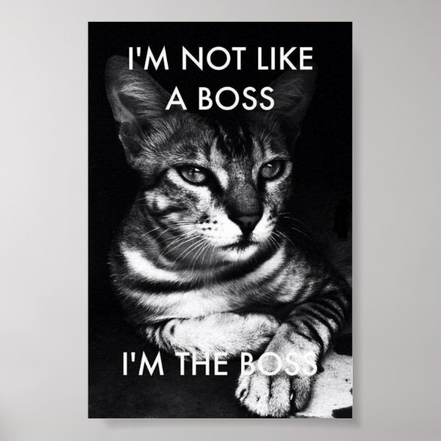 Poster Boss (Devant)