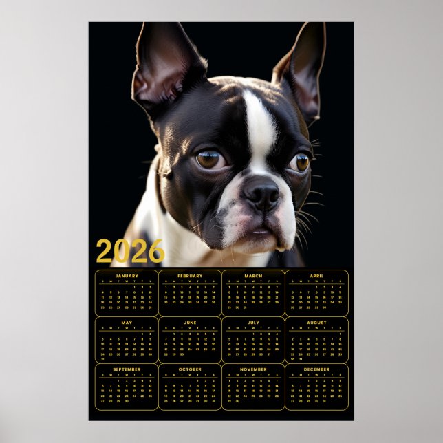 Poster Boston Terrier 2026 Calendar  (Devant)