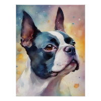 Boston Terrier Digital Watercolor Portrait Chien 1