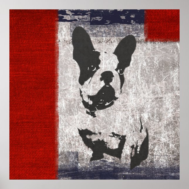 Poster Boston Terrier en noir et blanc avec frontière rou (Devant)