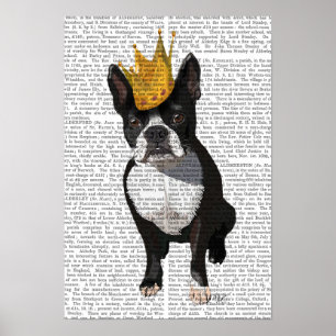Poster Boston Terrier et couronne