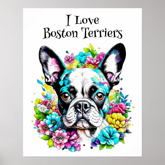 Poster Boston Terrier et Fleurs (Devant)
