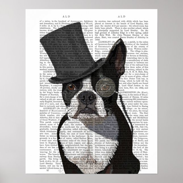 Poster Boston Terrier, Formal Hound et Casquette (Devant)