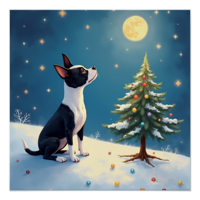 Poster Boston Terrier Midnight Star-Gazing Christmas (Devant)