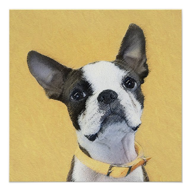 Poster Boston Terrier Peinture - Cute Original Chien Art (Devant)