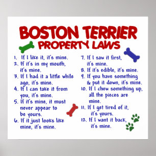 POSTER BOSTON TERRIER PL2