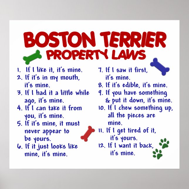 POSTER BOSTON TERRIER PL2 (Devant)