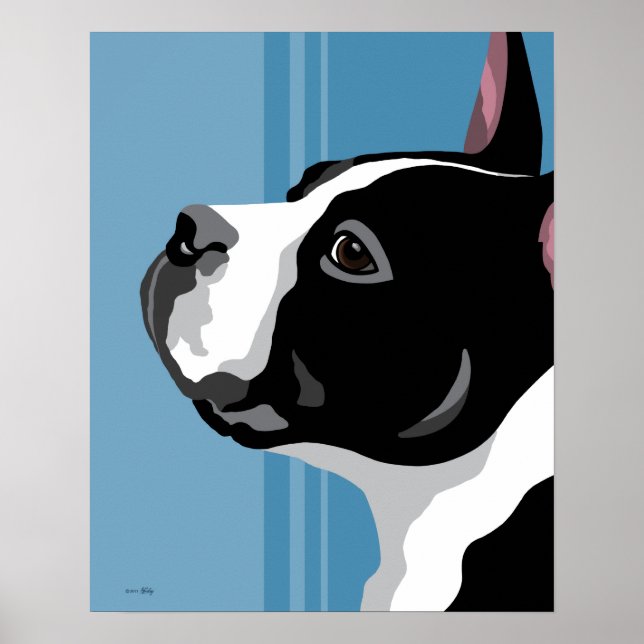 Poster Boston Terrier Prints (Devant)