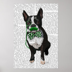 Poster Boston Terrier With Green Moustache