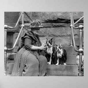 Poster Boston Terriers, 1920s