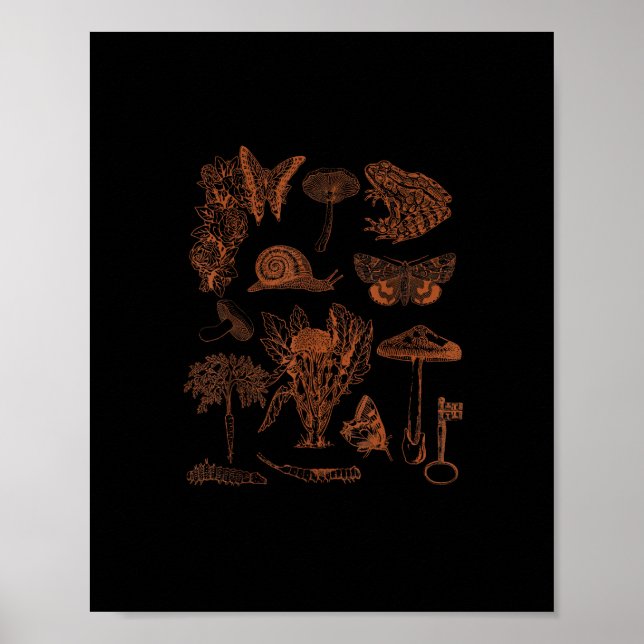 Poster Botanical Art, Frog Fungi Goblincore Aesthetic Cot (Devant)