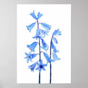 Poster Botanical bluebells flower watercolor
