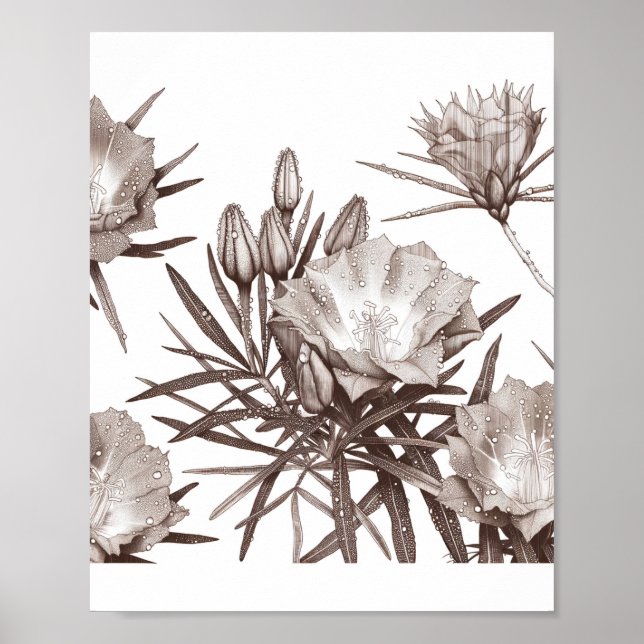 Poster Botanical Study - Desert Wildflowers (Devant)