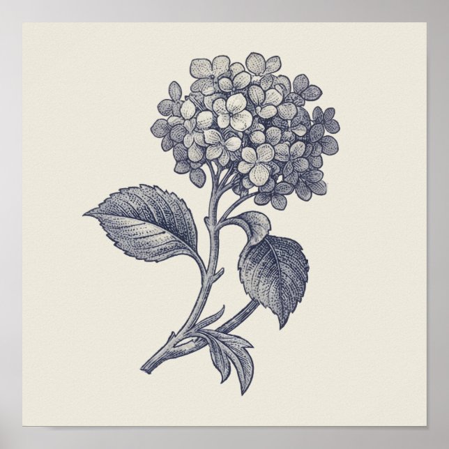 Poster Botanical Toile | Hydrangea Vignette (Devant)