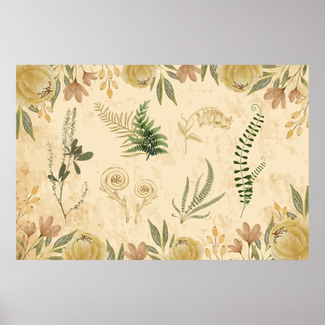 Poster botanique antique et floral (Devant)