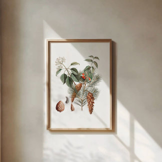 Poster Botanique de la forêt – Cône de pin et baie 