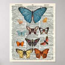 Botanique de papillon vintage n° 2 sur la page du
