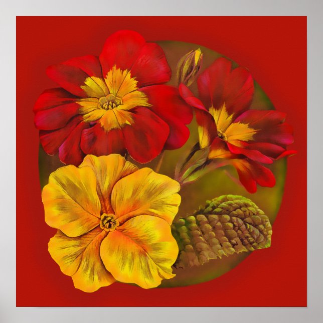 Poster botanique Primula rouge et jaune (Devant)