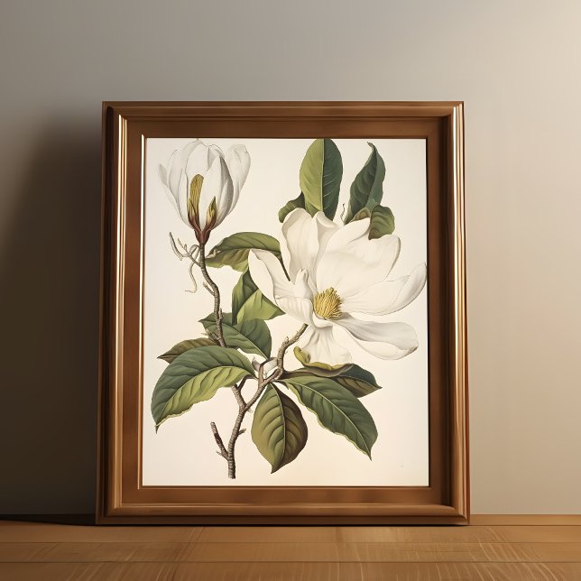 Poster Botanique vintage (Vintage white flower print is shown in a wooden frame.)