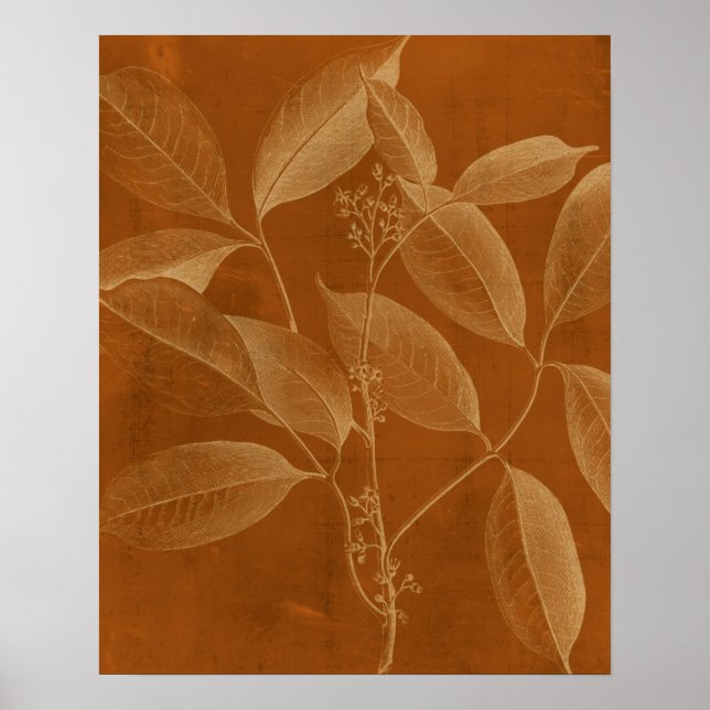 Poster Botnie VI moderne (Devant)