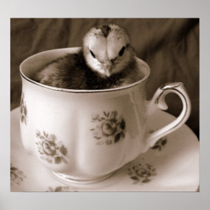Poster Bottes en Tea Cup