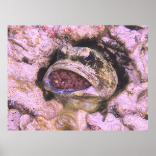 Poster Bouche