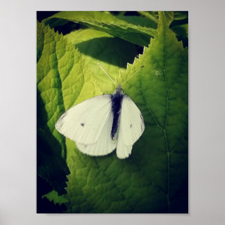 Poster Bouche blanche.