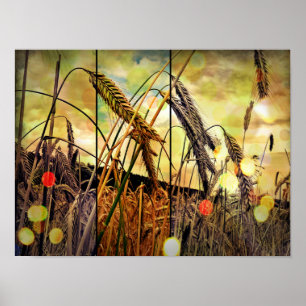 Poster Bouche de blé d'or