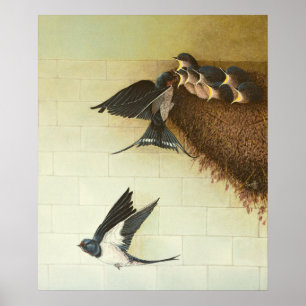 Poster Bouches affamées 2011