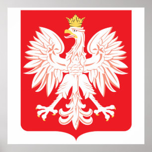 Poster Bouclier rouge de l'aigle polonais