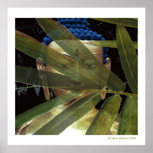 Poster Bouddha Bamboo