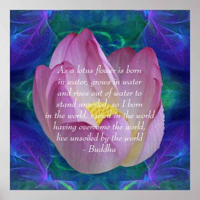 Poster Bouddha citation Lotus flower (Devant)