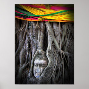 Poster Bouddha Et Le Bouddhisme Arbre Thaïlande Photograp