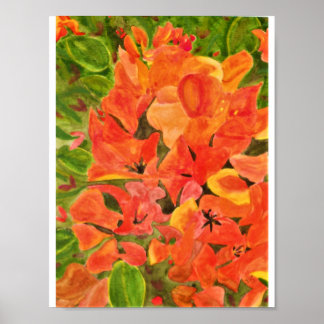 Poster Bougainvillées orange et jaune
