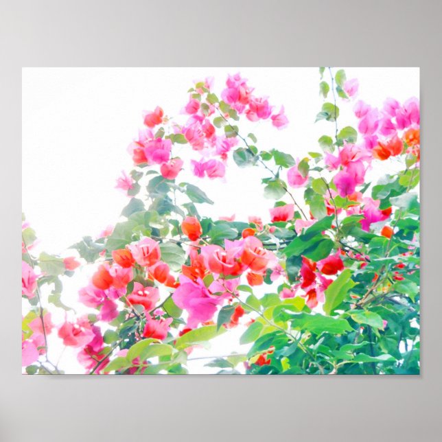 Poster bougainvillier (Devant)