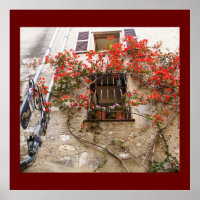 Bougainvilliers à la fenêtre