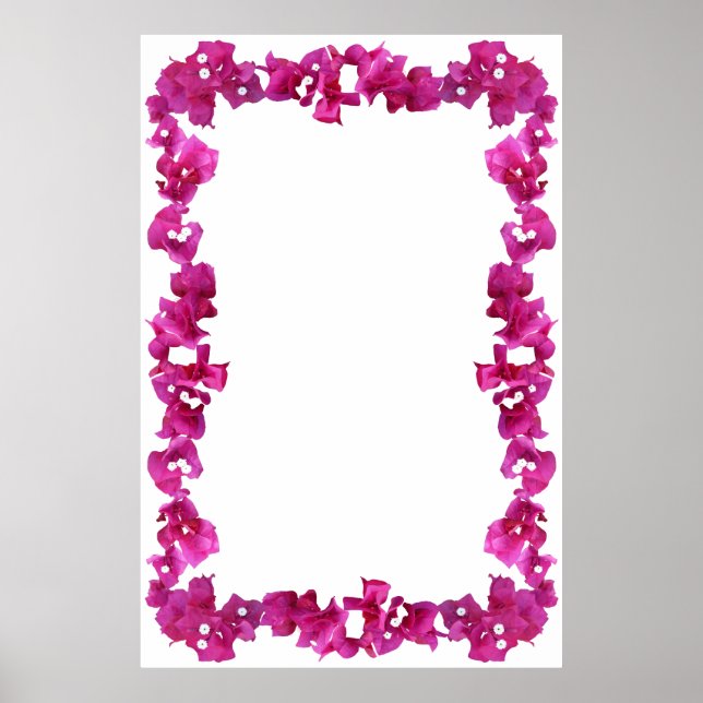 Poster Bouganvilla Frontière sur Arrière - plan vierge (Devant)
