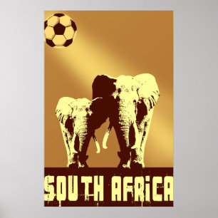 Poster Boule de coucher du soleil de l'Afrique du Sud de