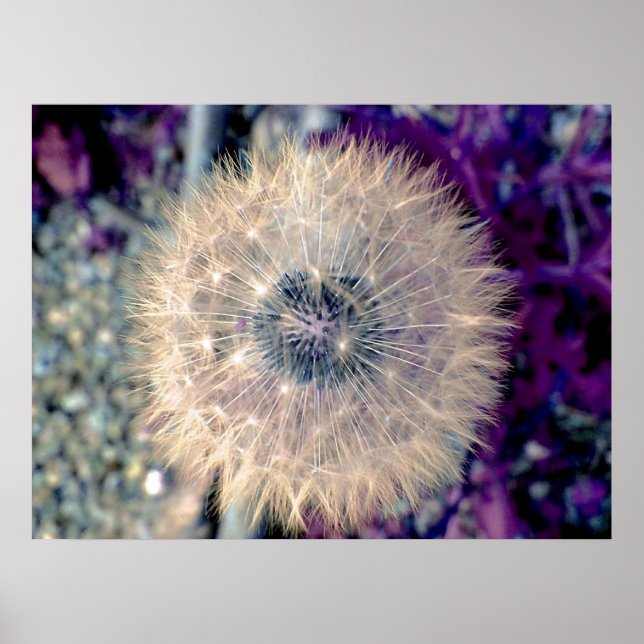 Poster Boule de fée (Devant)