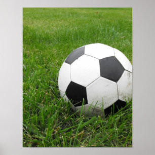 Poster Boule de football en herbe
