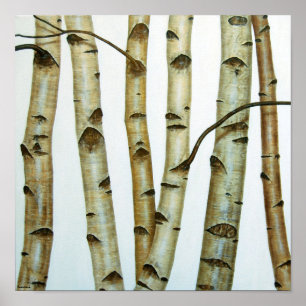 Poster Bouleaux Blancs