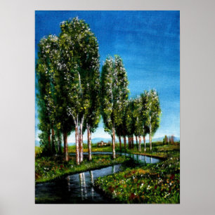 POSTER BOULEAUX EN TOSCANE